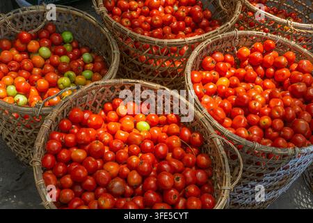 Fresh red tomatoes arranged in woven baskets as abundant agricultural produce Stock Photo
