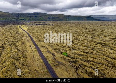 Mossy lava field - Iceland Stock Photo