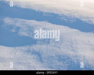 Pristine white snow surface with delicate icy textures and sparkling ...