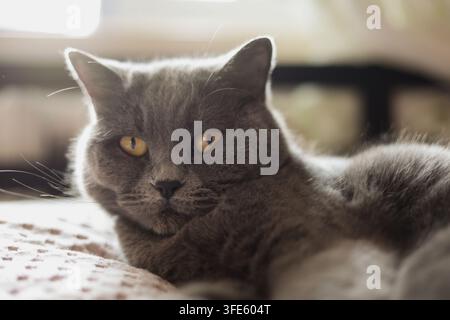 Mother and daughter spending quality time together at home, enjoying a warm and intimate family moment. Happy family lifestyle, motherhood, childhood, Stock Photo