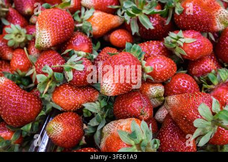 Fresh ripe strawberries with green leaves forming a colorful natural fruit background. Stock Photo