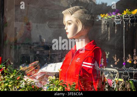 A shop window mannequin with short hair, wearing a red sports jacket with white stripes on the sleeves Stock Photo