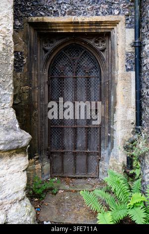 A detailed view of an old arched wooden door protected by an iron gate set in a flint stone wall with green ferns. Stock Photo
