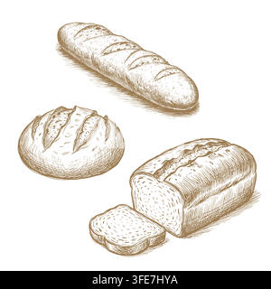 bread set with baguette, round loaf, and sliced bread, vector illustration. for artisan bakery branding, organic food packaging, vintage restaurant me Stock Vector