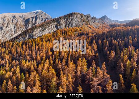 Aerial view of the Parpallon Massif mountains in the French Alps, with golden larch forest in autumn. Crevoux valley, Hautes-Alpes, France Stock Photo