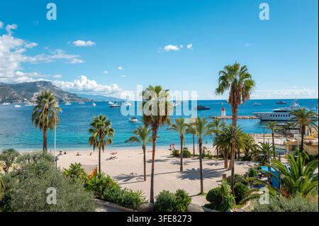 A picturesque view of the Mediterranean coast featuring a sandy beach, clear blue water, lush palm trees, and distant mountains under a blue sky Stock Photo