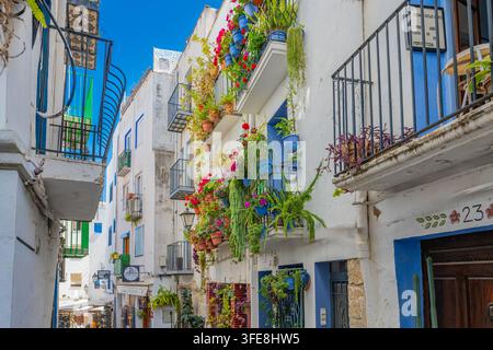 Low-angle view of flower-draped balconies and cascading potted plants on whitewashed houses in Peñíscola, Spain. Stock Photo