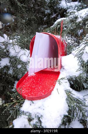 Red mailbox stands open with letters visible inside, nestled among snow-covered evergreen branches in a winter setting Stock Photo