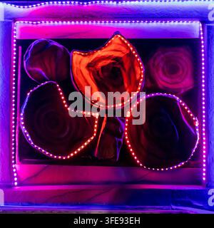 Marsaskala, Malta - August 23rd, 2026, Neon Rose Wall Art With Purple And Red LED Lights Framed Abstract Floral Display Stock Photo