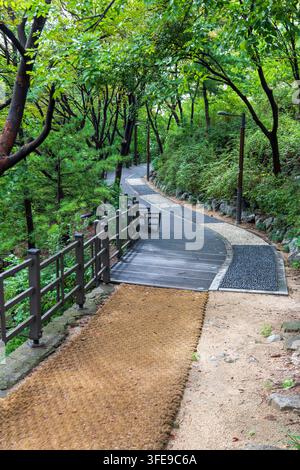 A winding wooden walkway with railings, benches, lamps, and a pebble path passes through dense green woodland. Stock Photo