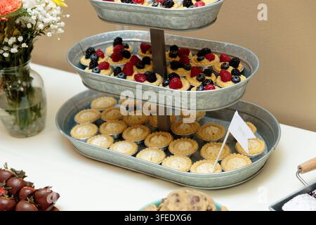 A three-tiered galvanized metal tray displaying assorted mini fruit tarts and lemon tarts on a dessert buffet table with flowers nearby. Stock Photo