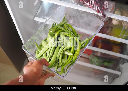 Holding green beans in the refrigerator Stock Photo