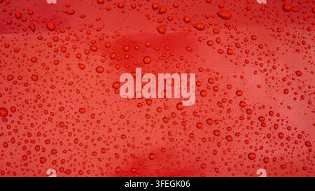 Red Water Drops on a Dark Metal Surface Stock Photo