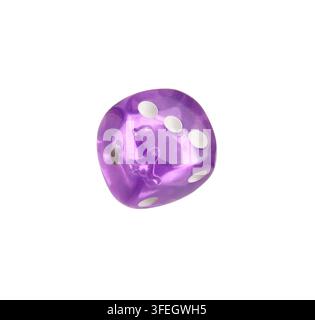 Purple dice on white background Stock Photo