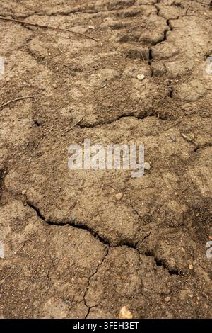 Close-up of dry cracked earth and hardened mud, showing drought-like ground texture, fissures and natural erosion patterns Stock Photo