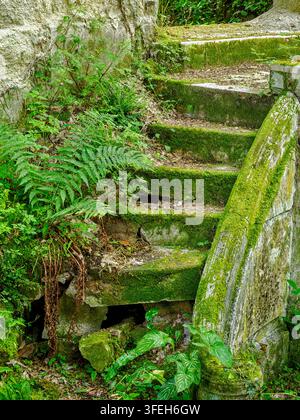 Overgrown stone staircase and wall at the ruins of Chateau de la Mothe Chandeniers, France, depicting nature reclaiming man made structures Stock Photo