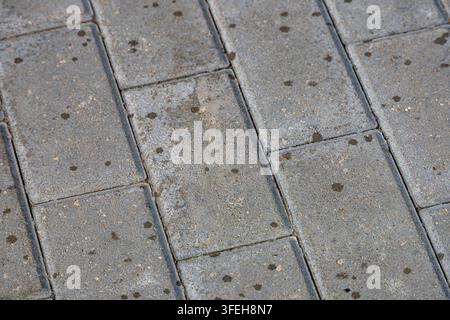 Flat top down view of rectangular grey interlocking concrete paving slabs showing subtle water drops on surface. Stock Photo
