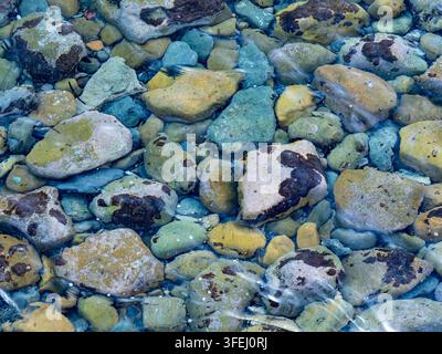 Rocks and pebbles submerged in clear shallow water, forming a vibrant natural pattern on the riverbed Stock Photo