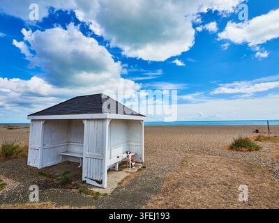 Lonely White Beach Shelter With Small Dog on Pebble Beach Under Blue Sky and Clouds Stock Photo