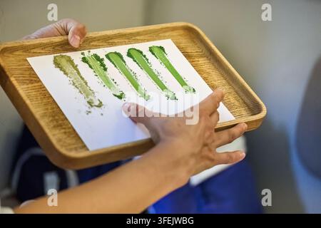 Hand holding matcha tea powder color evaluation tray Stock Photo