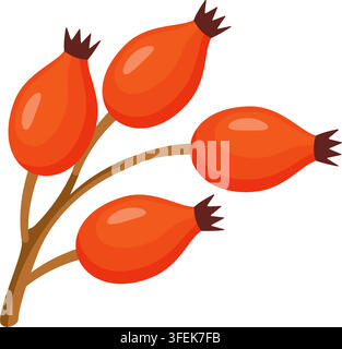 Splendid hand drawn rosehip berry branch vector element. Delightful flat style orange red autumn rose hip clip art isolated on transparent background. Great for Thanksgiving card and harvest decor. Stock Vector