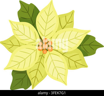 Charming hand drawn yellow poinsettia flower vector element. Beautiful flat style cream Christmas star plant isolated. Perfect for elegant winter holiday greeting cards and DIY. Stock Vector