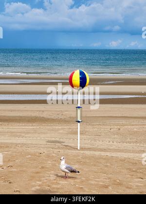 Colourful Beach Ball and Seagull on Empty Sandy Shore With Calm Sea and Cloudy Sky Stock Photo