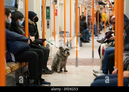 Commuters and dogs ride a London Overground Class 378 train, known for its iconic orange poles, commuting across London. Stock Photo