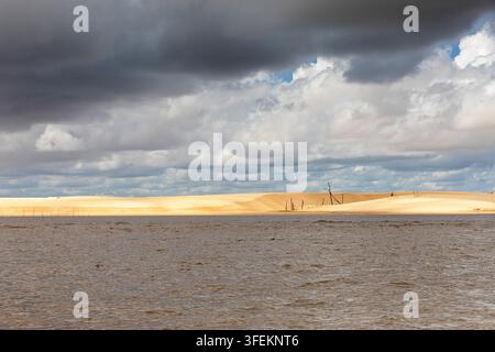 Eerie sun-bleached dead tree trunks standing among vast white sand dunes along the banks of the peaceful Preguicas River in Maranhao, Brazil. Stock Photo
