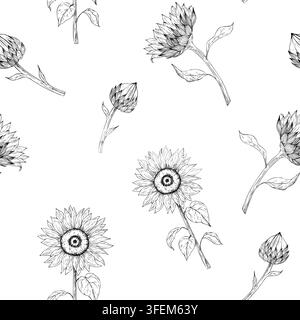 Vector sunflower seamless pattern, graphic hand drawn isolated illustration. Botanical hand drawn clipart, ideal for seasonal, halloween, forest, or Stock Vector