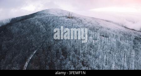 January 3, 2026, Kosmaj, Serbia: Snow-draped hillside forest sweeps toward the star monument at the summit Stock Photo