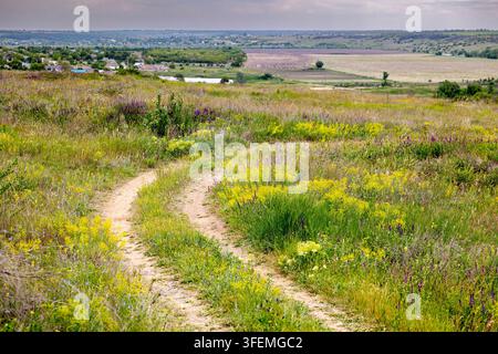 Rural dirt road winding through lush green grassy fields with vibrant yellow and purple wildflowers, leading towards a distant village and sprawling a Stock Photo