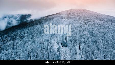 January 3, 2026, Kosmaj, Serbia: Snow-draped hillside forest sweeps toward the star monument at the summit Stock Photo