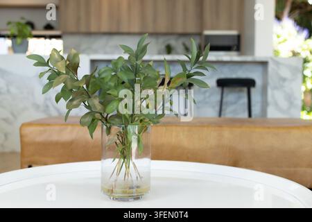 Clear glass vase holding green stems and water, sitting on round white table by marble island Stock Photo