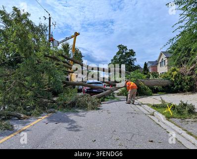 Broken tree falling onto a car in the street and power lines following a severe wind storm Stock Photo