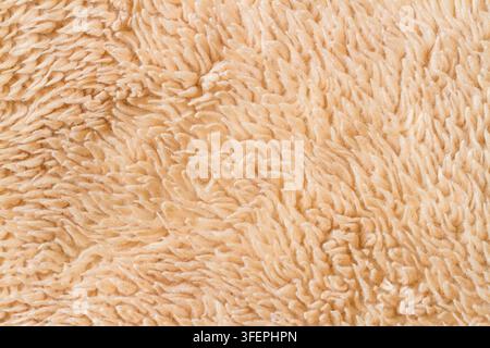 Peach-colored faux fur close-up. Faux fur background texture. Stock Photo