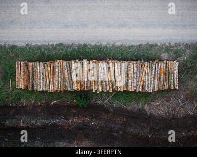 Aerial view of a large stack of harvested birch logs lying on the grass beside a dirt road in Ance parish, Ventspils Municipalit, Latvia. Stock Photo