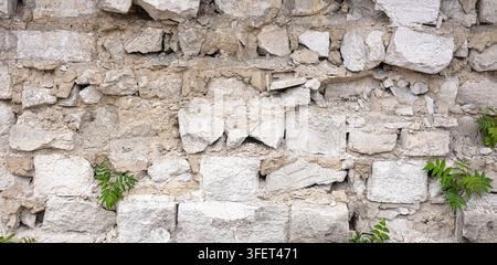 Rough stone wall texture with weathered limestone blocks and green plants growing Stock Photo