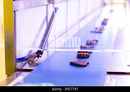 Final step of marzipan candies in chocolate glazing production in automated freezing machine on conveyor blue belt at sweets factory Stock Photo