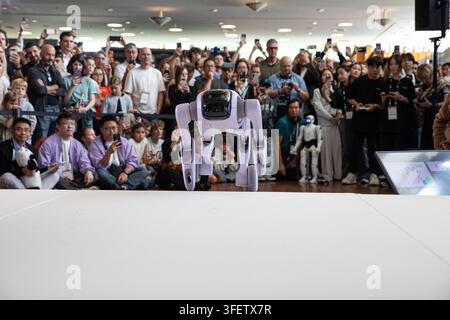 Berlin, Berlin, Germany. 5th Sep, 2026. Humanoid robots, quadrupeds and AI-powered companion machines perform during Robots on the Runway at IFA 2026 at Messe Berlin in Berlin, Germany, on Saturday, September 5, 2026. The live technology showcase turned the traditional fashion-show format over to robots, with machines walking the catwalk, dancing, posing, performing tricks and demonstrating advances in movement, sensor technology and human-machine interaction. Eleven robotics companies took part in the show, bringing together humanoid, four-legged, transformable and companion robots as art Stock Photo