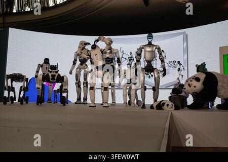 Humanoid robots, quadrupeds and AI-powered companion machines perform during Robots on the Runway at IFA 2026 at Messe Berlin in Berlin, Germany, on Saturday, September 5, 2026. The live technology showcase turned the traditional fashion-show format over to robots, with machines walking the catwalk, dancing, posing, performing tricks and demonstrating advances in movement, sensor technology and human-machine interaction. Eleven robotics companies took part in the show, bringing together humanoid, four-legged, transformable and companion robots as artificial intelligence and so-called embodied Stock Photo
