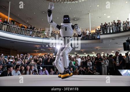 Humanoid robots, quadrupeds and AI-powered companion machines perform during Robots on the Runway at IFA 2026 at Messe Berlin in Berlin, Germany, on Saturday, September 5, 2026. The live technology showcase turned the traditional fashion-show format over to robots, with machines walking the catwalk, dancing, posing, performing tricks and demonstrating advances in movement, sensor technology and human-machine interaction. Eleven robotics companies took part in the show, bringing together humanoid, four-legged, transformable and companion robots as artificial intelligence and so-called embodied Stock Photo