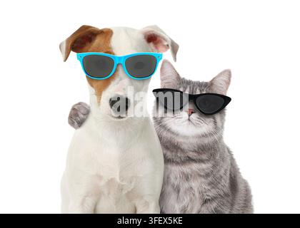 Cat hugging his friend dog on white background. Animals with sunglasses Stock Photo