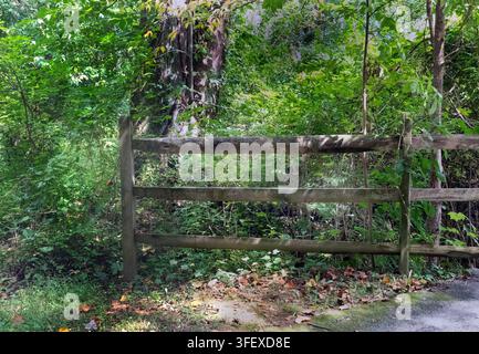 A weathered, three-rail wooden split-rail fence set against a background of dense green trees and foliage Stock Photo