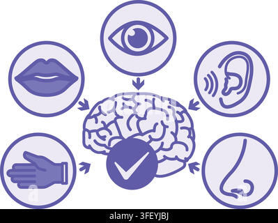 Purple Sensory Friendly Icon. Vector Illustration. Adapted for People with Touch Sensitivities. Brain with Check Mark, Nose, Ear, Eye, Mouth, and Hand Stock Vector