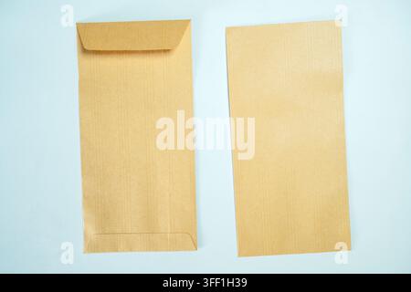 Top-down view of two blank brown kraft paper envelopes arranged on a light blue textured background, perfect for stationery mockups Stock Photo