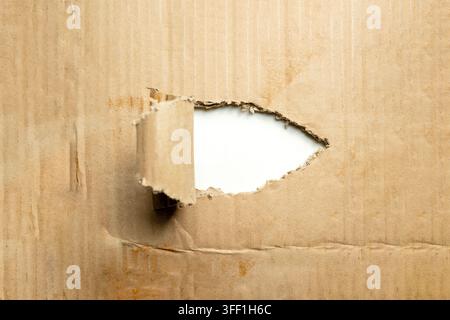 A torn sheet of brown corrugated cardboard with a rolled-back section, revealing a clean white background suitable for copy space and custom text Stock Photo