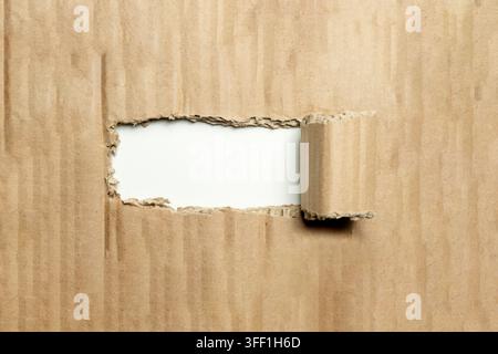 A torn sheet of brown corrugated cardboard with a rolled-back section, revealing a clean white background suitable for copy space and custom text Stock Photo