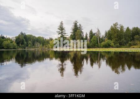 A peaceful lake reflecting tall evergreen trees on the shore under a cloudy sky. Stock Photo