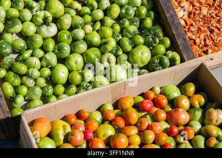 Green and brown tomatoes in boxes. Many different natural vegetables Stock Photo